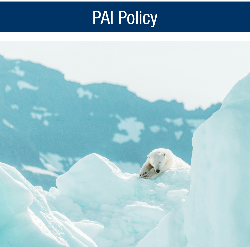 PAI